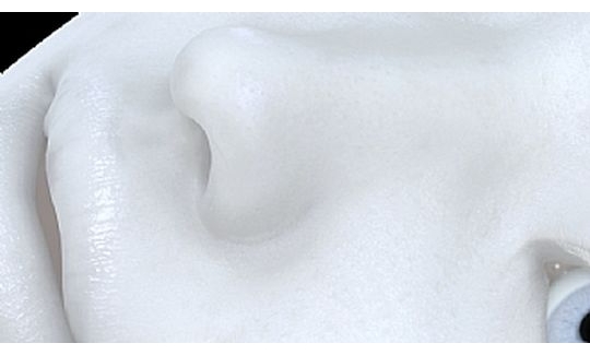 נוף, 2007 (פרט)