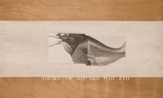 Michal Na'amanThe Fish is the Joke of the Bird
