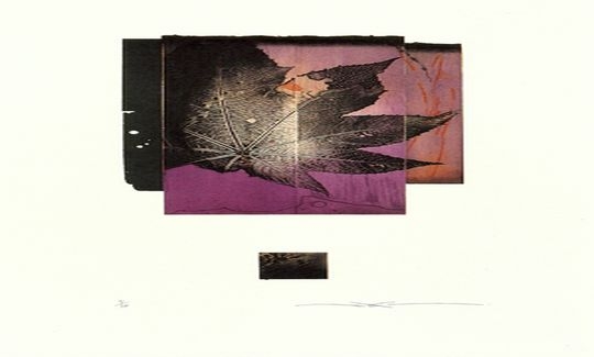 Araki Shinko, Wild Plants II, etching, aquati