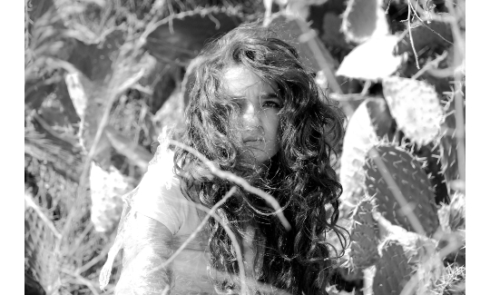 אמירה זיאןללא כותרת, 2012הדפס