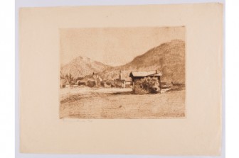 وطن غريب