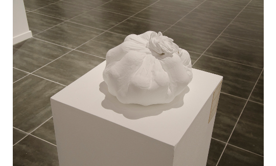 נרדין סרוג'י Buqjah I, 2018בד, דבק