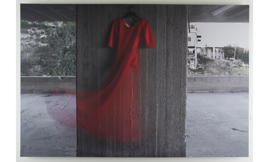 أميرة زيانفستان أحمر، 2016