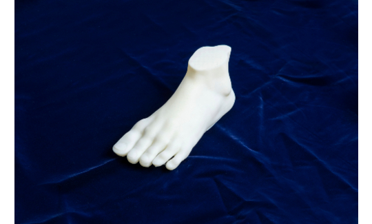 טד וויטקרסמנתה, 2016פריס