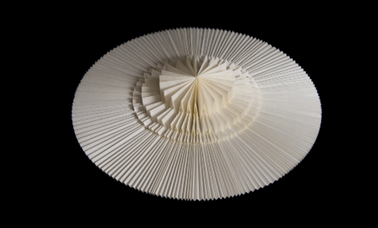 צילום:Tsuyoshi Hongo