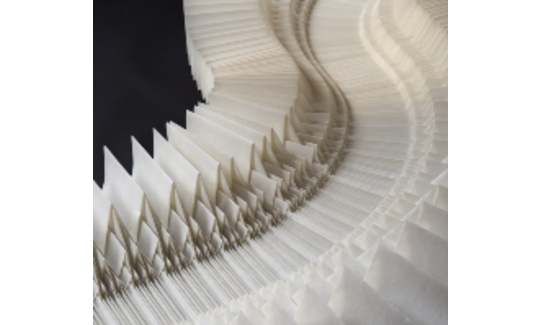 צילום: Tsuyoshi Hongo