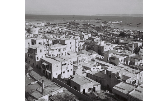 זולטן קלוגר מראה העיר