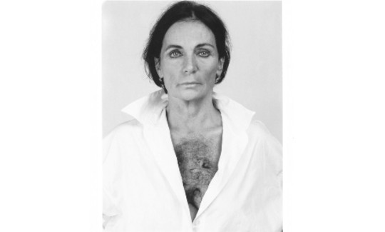 Michèle SylvanderLa fautive, 1995Silve