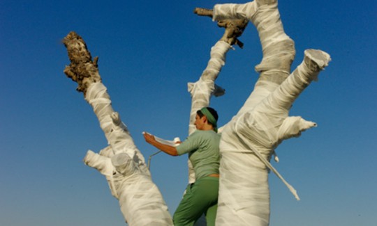 Ariane LittmanThe Olive Tree, 2011Video, 12:55