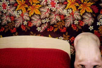 "בנות כלאיים, יצורים פלאיים"