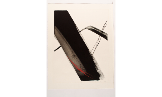 חלום בהקיץשינודה טוקו