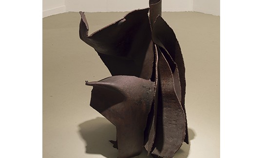 יחיאל שמי שבטצילום: סטס