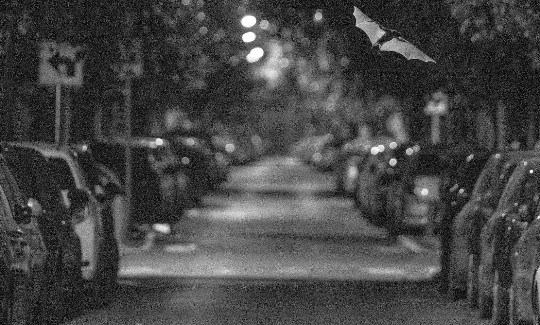 יובל חןפליטי אור, 2020באדיבות