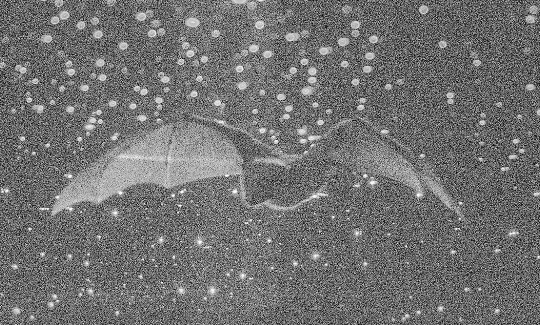 יובל חןפליטי אור, 2020באדיבות