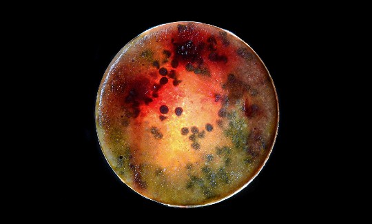 Nurit GalUntitled, 2020Photography: Nurit Gal