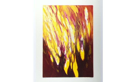 היראנו אריקהלהבה, 2017מתנת