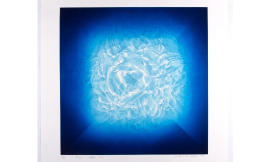 קאסאי מאסאהירוחור כחול |