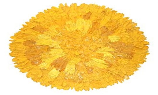 ורד ניסים, פנטזי הנדס, 2005/2014