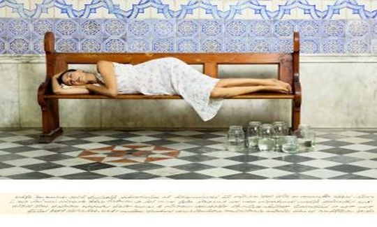 טל שוחט, דבורה, 2012 , הדפסה