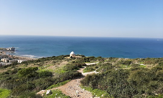 צילום: תמר גורקה קליינר