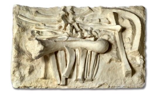 פרנץ ברנהיימר, ללא כותרת