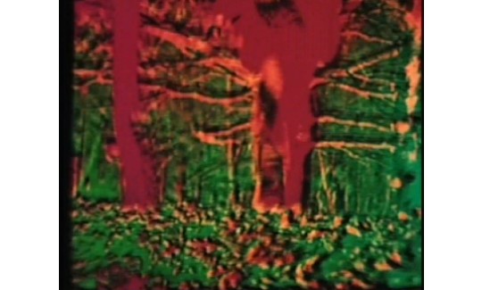 אברהם אילת, רוץ, 1971, סרט 16 ממ