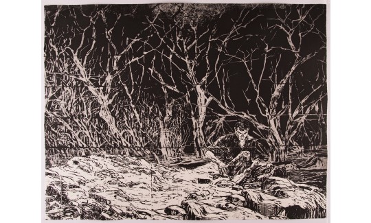אורית חופשיסולוס, 2010חיתוך
