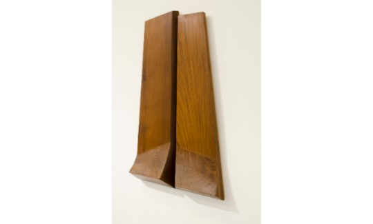 חוה מחותןנוף, 1975תבליט