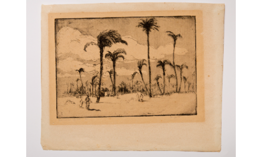 Хайфа. Г. Штрук. Гравюра по