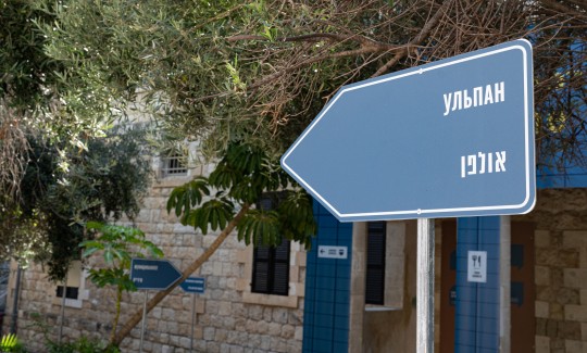 צילום: ג'ני כצנר