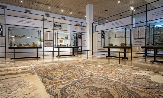 קרדיט: ג'ני כצנר