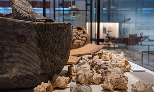 קרדיט: ג'ני כצנר