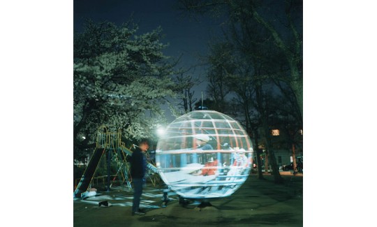 works_perspective-of-the-globe-jungle_main