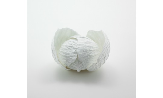 works_cabbage-bowl_main