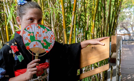 קרדיט: ג'ני כצנר