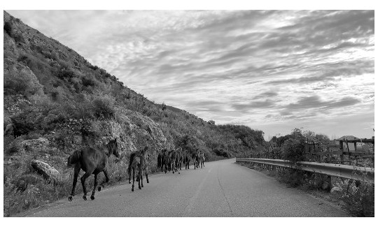 מתוך: The Wanderers (הנוודים