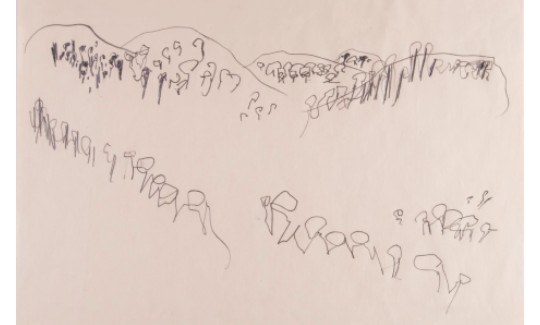 Grove on Mt Carmel, 1956Pencil on paperGift of the