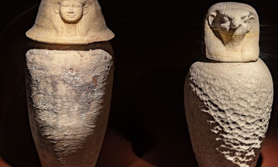 צילום: ג'ני כצנר