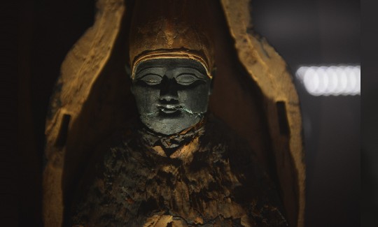 צילום: ג'ני כצנר