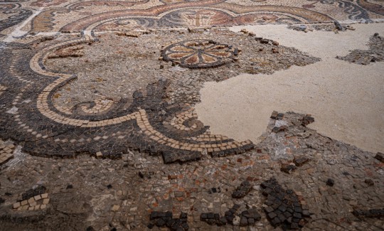 The conserved and restored mosaic, Credit: Jenny
