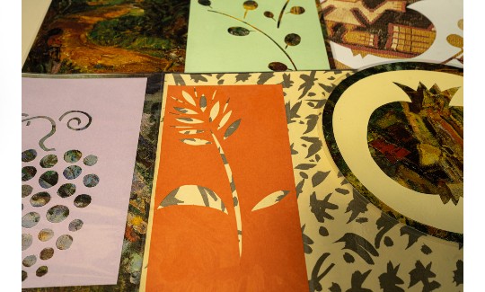 קרדיט: ג'ני כצנר