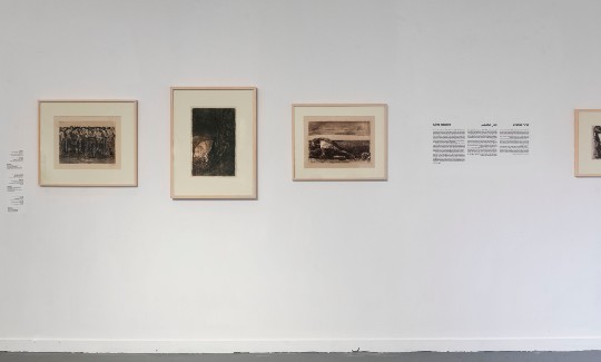 מראה הצבהקרדיט- אלי פוזנר