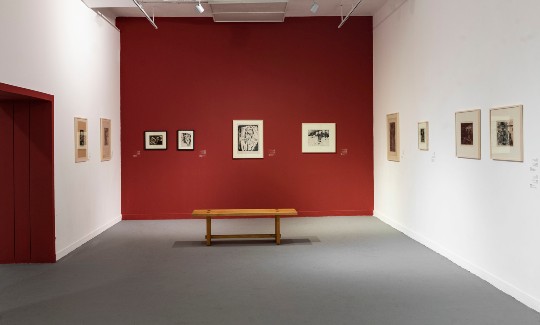 מראה הצבהקרדיט- אלי פוזנר