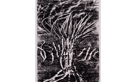 משה גרשוני אני יודע, 1999