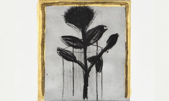 Khen Shish, Restless Rose, 2008