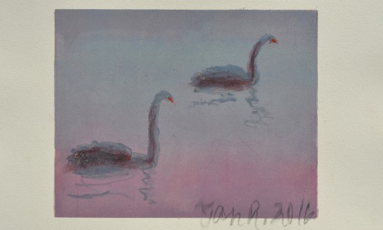 Jan Rauchwerger Black Swans, 2016 Courtusy of the