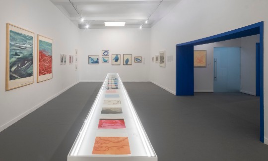 מראה הצבהקרדיט- אלי פוזנר