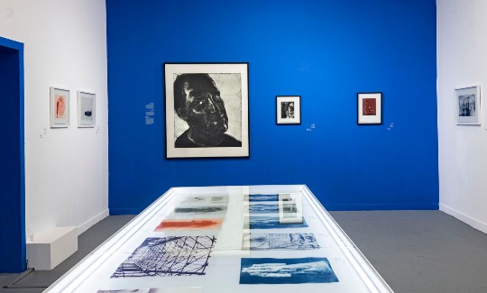 מראה הצבהקרדיט- אלי פוזנר