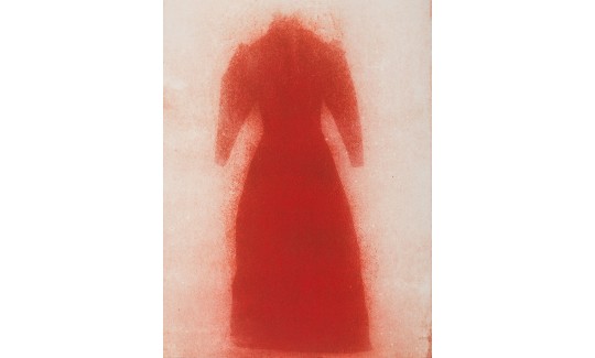 Sigalit Landau Salt Bride Engraving I, from Artis