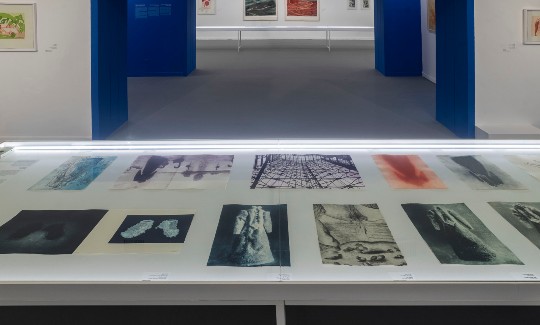 Installation viewCredit: Elie Posner